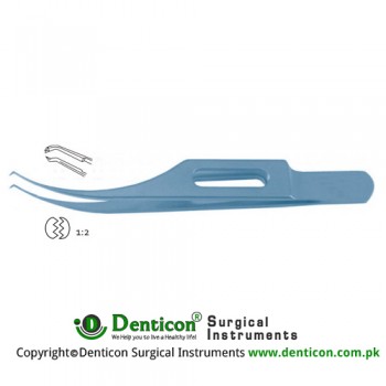 Harms-Colibri Corneal Forcep Very Delicate 1 x 2 Teeth with Tying Platform Titanium, 7.5 cm - 3 1/4" Tip Size 0.12 mm